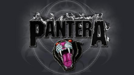 Heavy metal bands pantera band wallpaper
