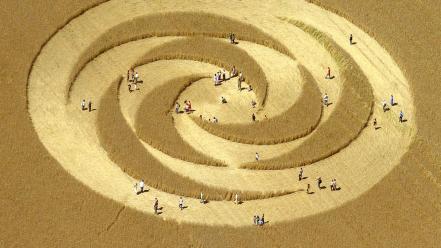 Nature animals rings national geographic crop circles wallpaper