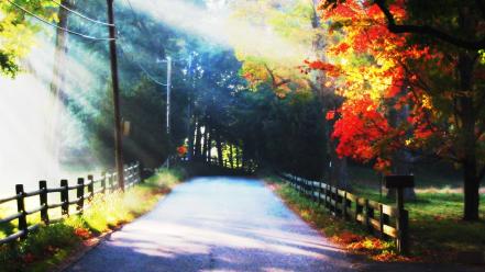 Nature trees autumn (season) roads vivid colors wallpaper