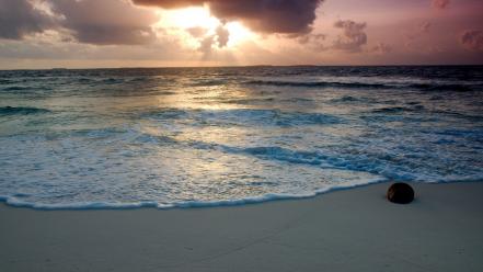 Sunset ocean landscapes nature beach sea wallpaper
