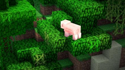 Video games minecraft pigs wallpaper
