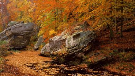 Landscapes autumn (season) forest national illinois smith area wallpaper