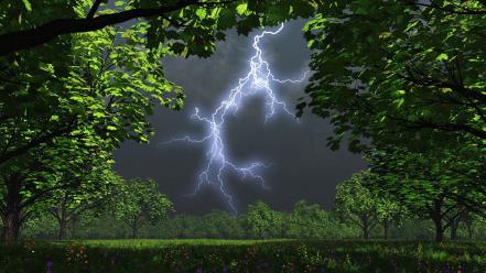 Landscapes nature trees lightning wallpaper