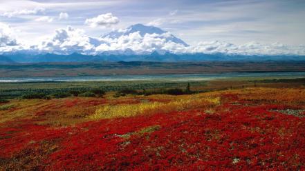 Nature alaska brilliant national park colors wallpaper