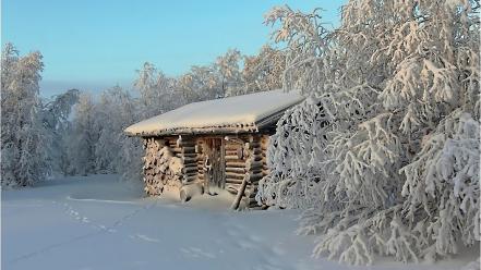 Nature winter trees houses wallpaper