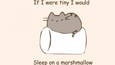 Paintings minimalistic text cats quotes marshmallow phrase simple wallpaper