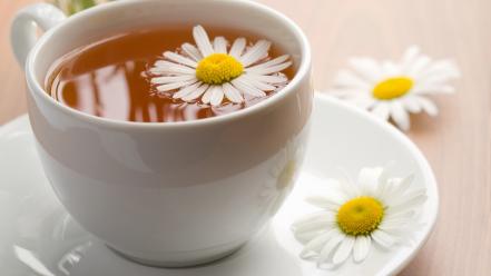 Tea camomile with a wallpaper