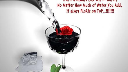 Water ice flowers wall quotes life roses wallpaper