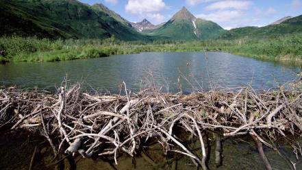 Alaska dam lakes wallpaper