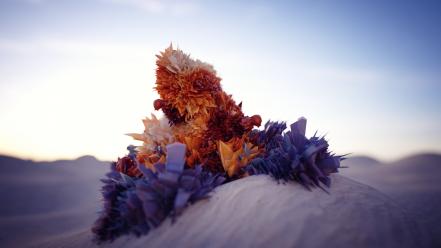 Desert plants digital art objects 3d wallpaper