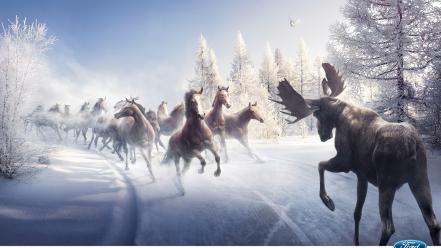 Ford horses commercial moose wallpaper