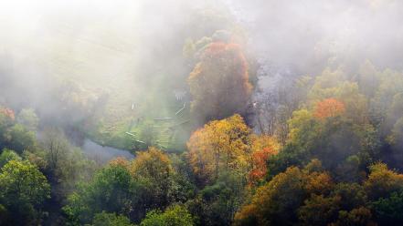 Landscapes nature forest mist lithuania baltic states unseen wallpaper