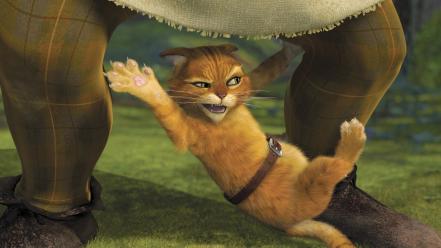 Movies cats animals shrek puss in boots wallpaper