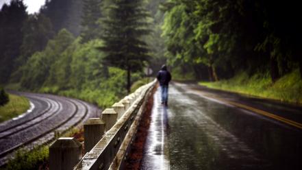 Rain forest walk men roads wallpaper