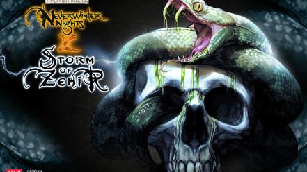 Skulls video games snakes neverwinter nights wallpaper