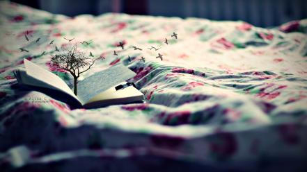 Trees birds beds books depth of field photomanipulation wallpaper