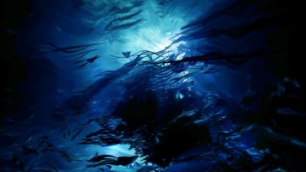 Ocean fish sunlight underwater wallpaper