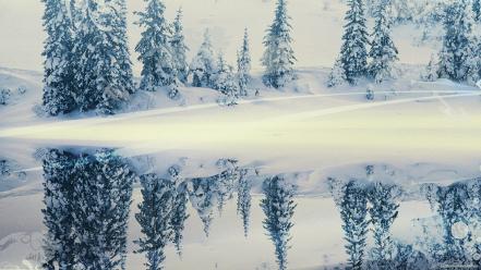 Snow trees reflections evergreens wallpaper