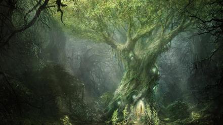Sun trees forests fantasy art mysterious wallpaper
