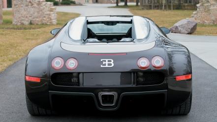 Veyron Back wallpaper