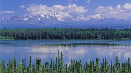 Alaska willow national park mount wallpaper