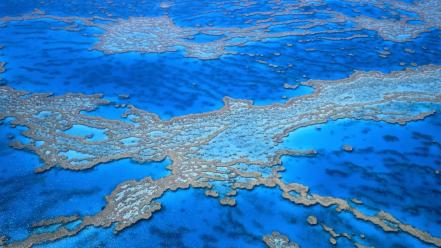 Australia great barrier reef wallpaper