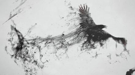 Black and white dark birds digital art ravens wallpaper