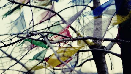 Multicolor depth of field branches cloths windy wallpaper
