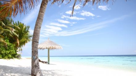 Ocean beach sand palm trees wallpaper