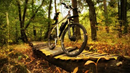 Wood forest bicycles trek wallpaper