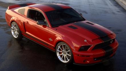 Ford mustang super snake shelby gt500 wallpaper