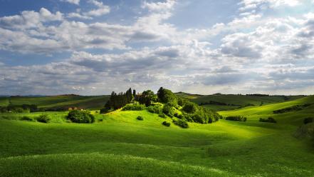 Green clouds nature trees grass fields wallpaper