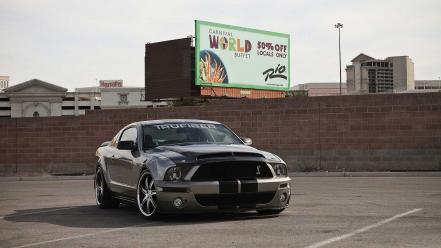 Muscle cars shelby mustang widescreen gt500 wallpaper