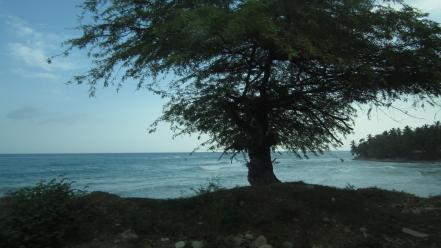 Landscapes beach haiti caribbean sea wallpaper