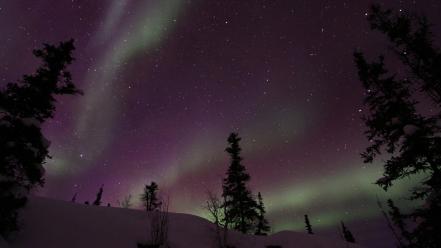 Landscapes nature snow trees aurora borealis national geographic wallpaper