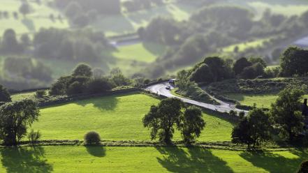 Landscapes nature trees cars tilt-shift wallpaper