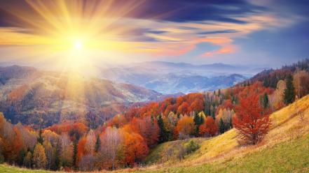 Nature sun shining wallpaper