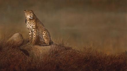 Paintings animals cheetahs wallpaper