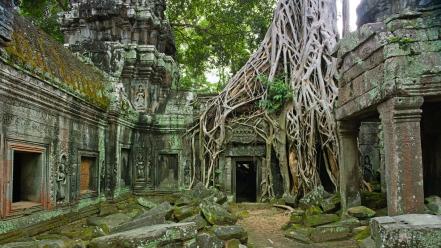 Rocks buildings national geographic cambodia temples roots wallpaper