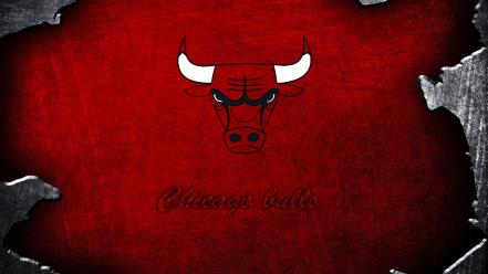 Sports chicago bulls wallpaper