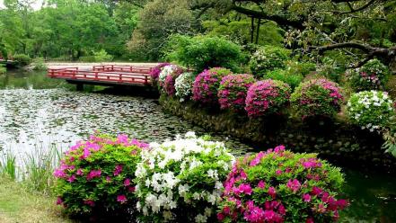 Water japan flowers japanese gardens lily pads bushes wallpaper