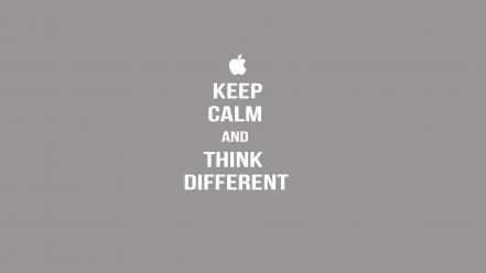 White text gray typography steve jobs apples wallpaper