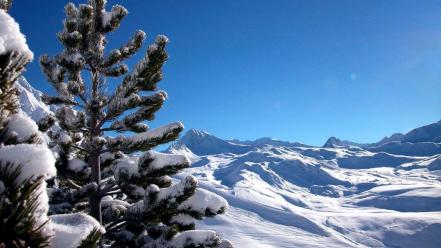 Landscapes snow trees china wallpaper