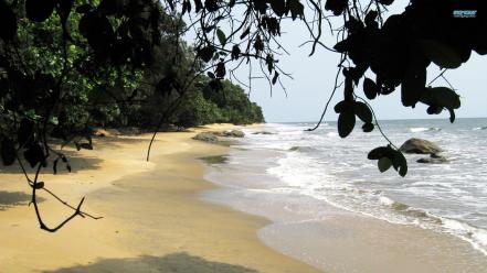 Nature beach sand trees sea wallpaper