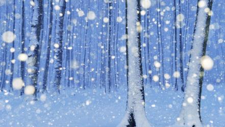 Nature snow trees forest snowy wallpaper