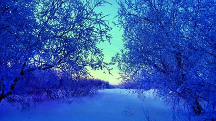 Nature winter photomanipulation wallpaper