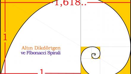 Ratio mathematics fibonacci squares rectangles spiral rectangle wallpaper