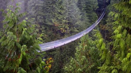 Vancouver british columbia suspension bridge capilano wallpaper