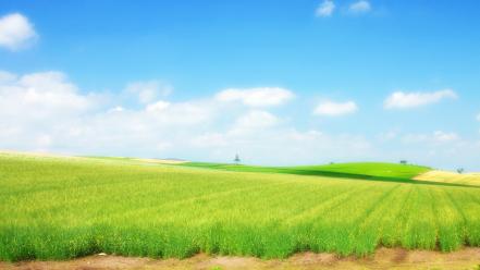 Landscapes nature grass skyscapes photoshop country field wallpaper