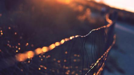 Sun fences wire rays wallpaper
